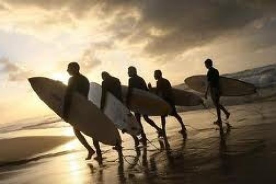 boardshorts og surfershorts