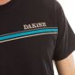 Elegant Dakine t-shirt 