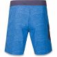 Dakine Broadhead boardshorts 